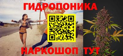 a pvp Гусь-Хрустальный
