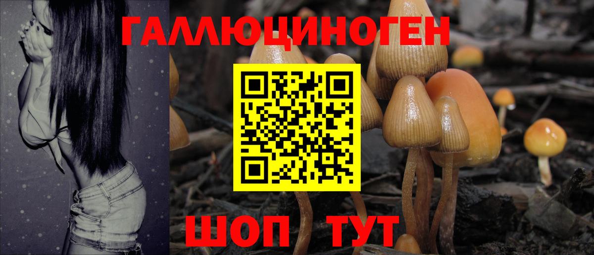 купить   Вход с VPN  Ноябрьск  Псилоцибиновые грибы GOLDEN TEACHER 